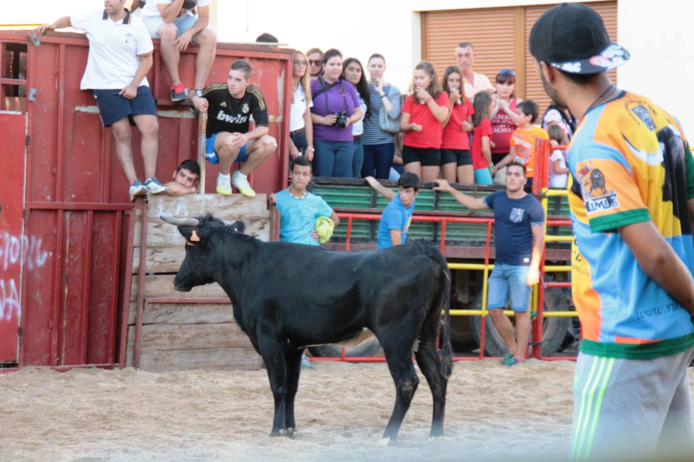 Primer encierro de las fiestas de Ciguñuela