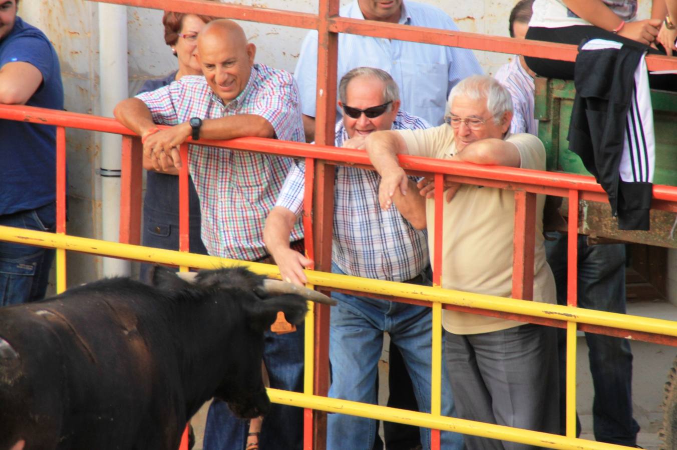 Segundo encierro de las fiestas de Ciguñuela