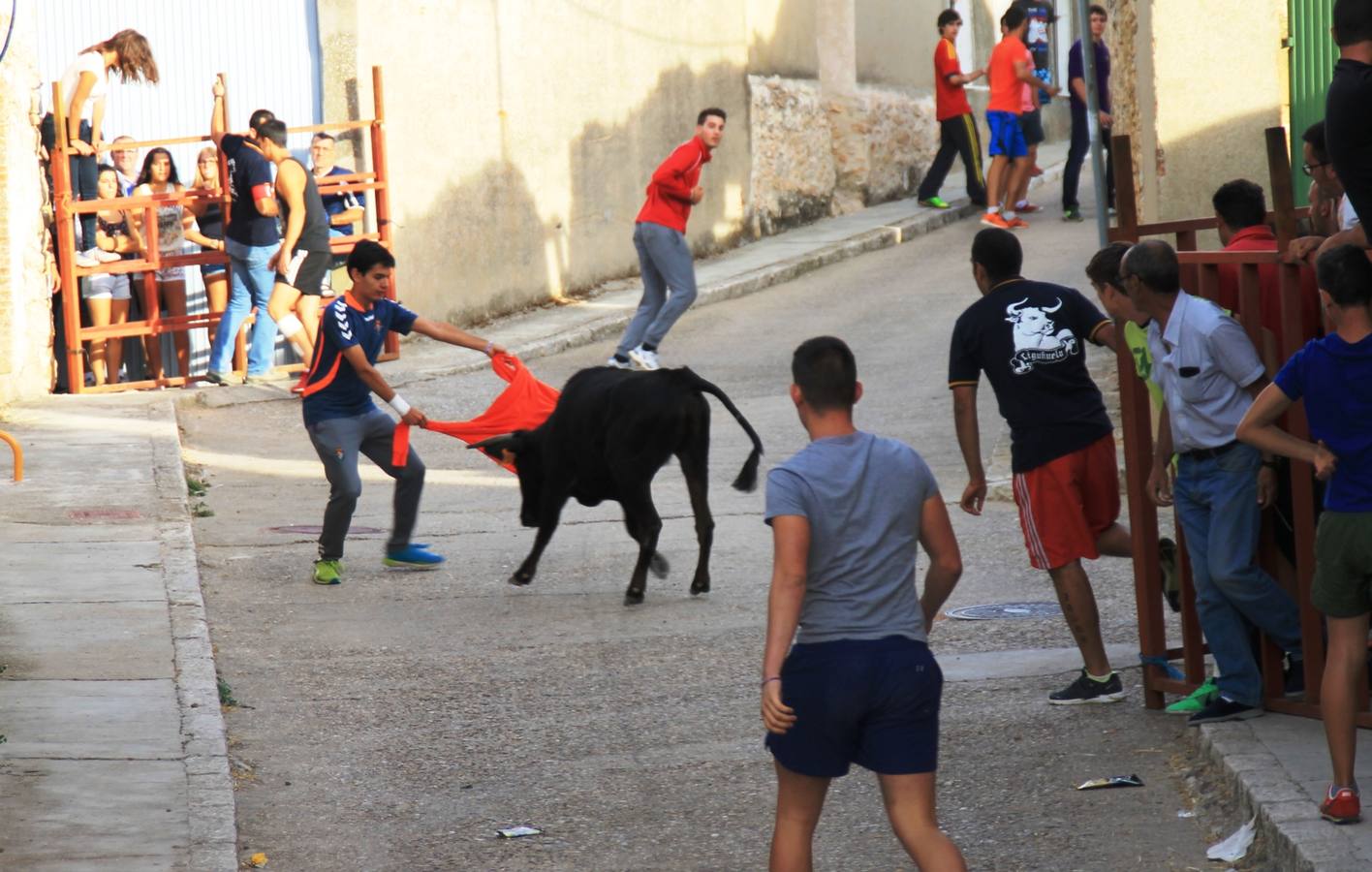 Segundo encierro de las fiestas de Ciguñuela