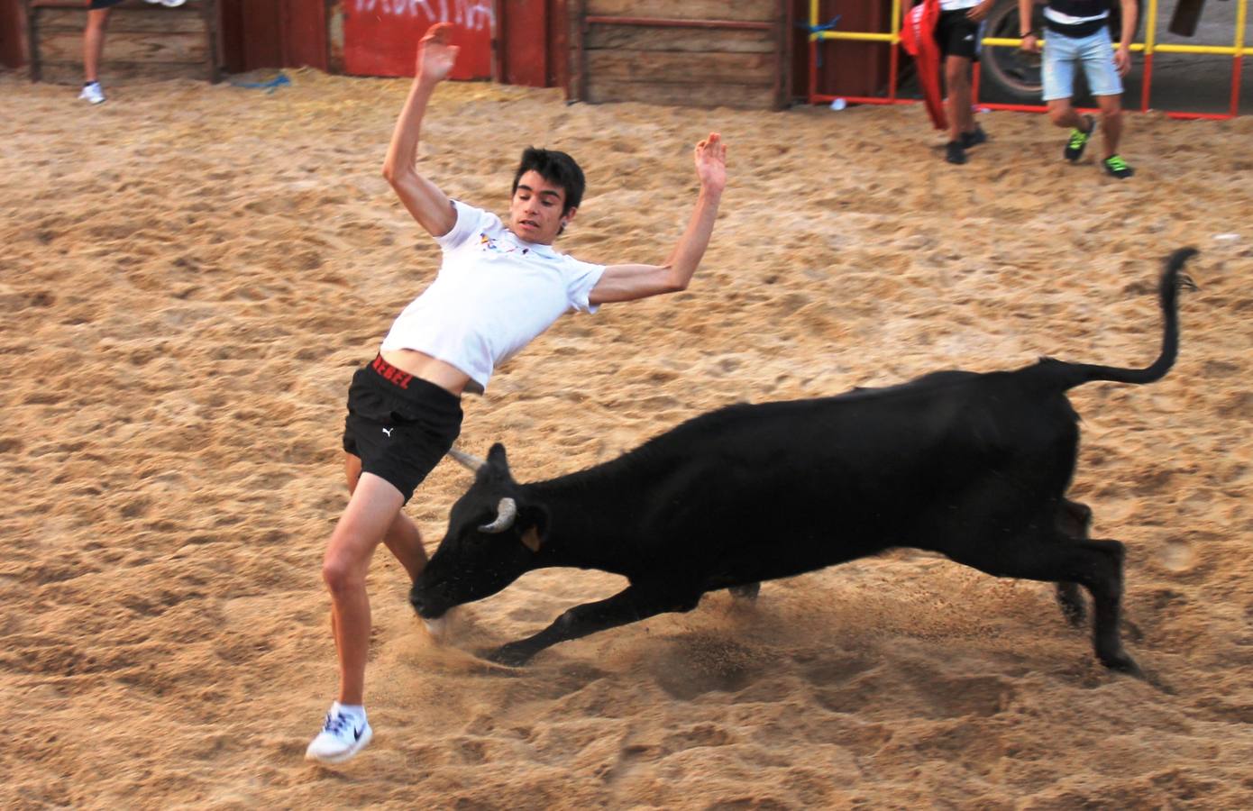 Segundo encierro de las fiestas de Ciguñuela