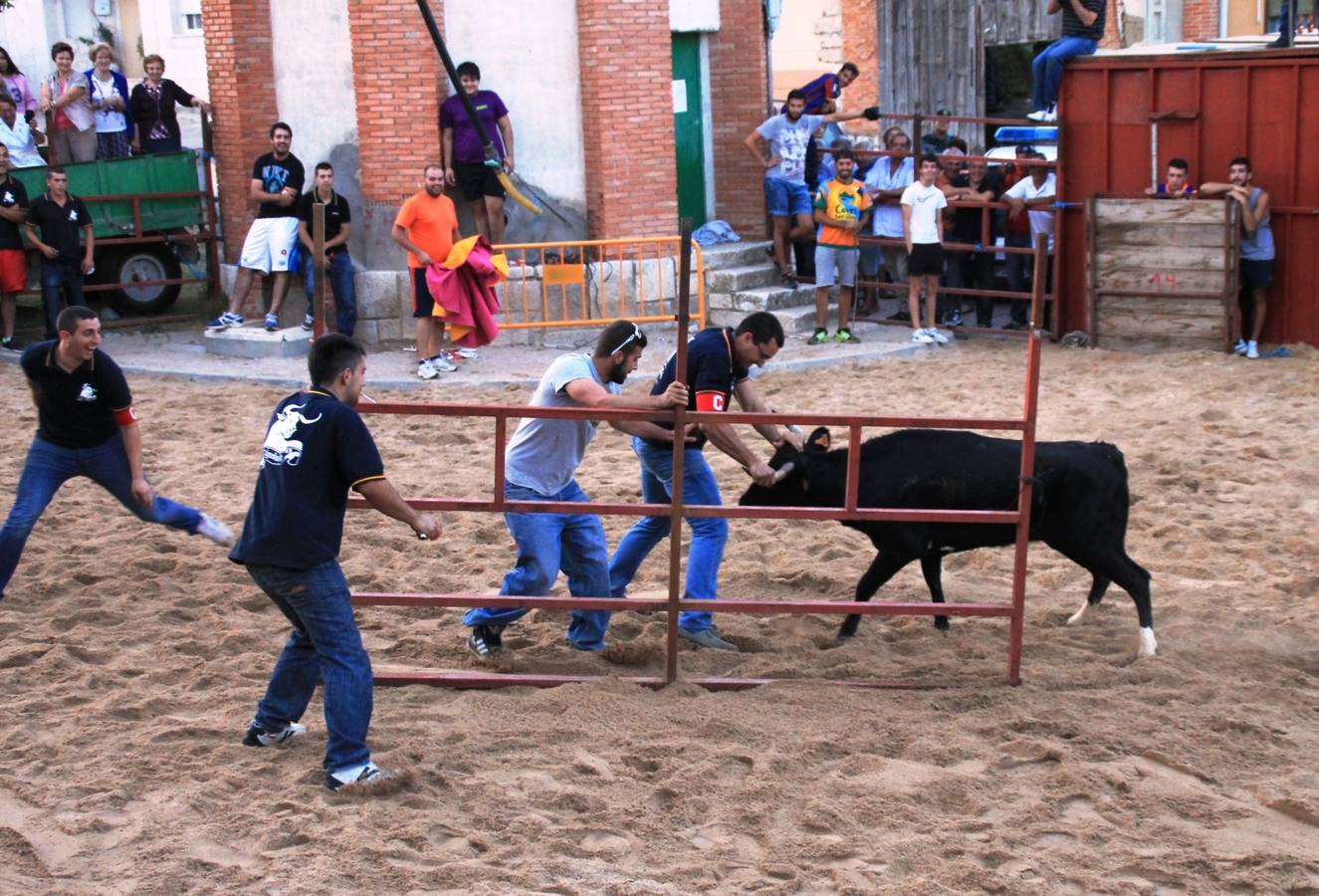 Segundo encierro de las fiestas de Ciguñuela