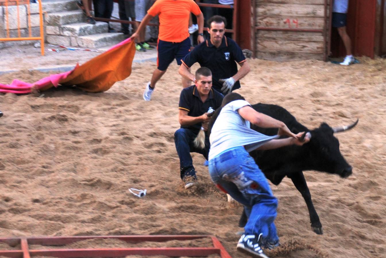 Segundo encierro de las fiestas de Ciguñuela