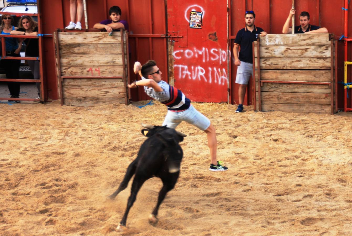 Segundo encierro de las fiestas de Ciguñuela