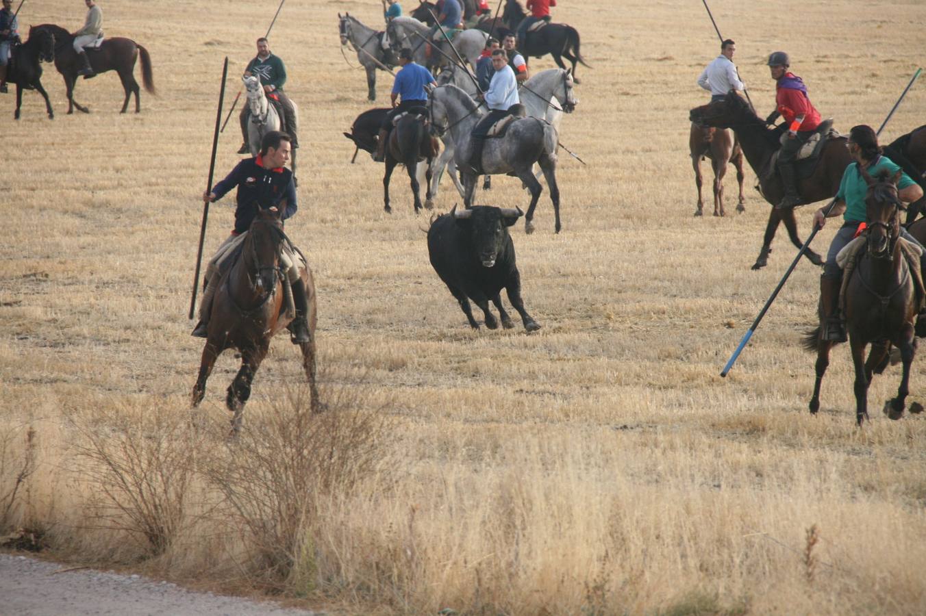 Segundo encierro de las fiestas de Cuéllar (Segovia)