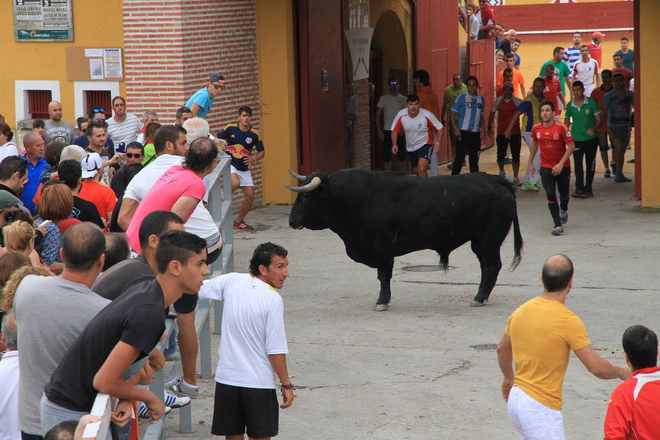 Segundo encierro de las fiestas de Cuéllar (Segovia)