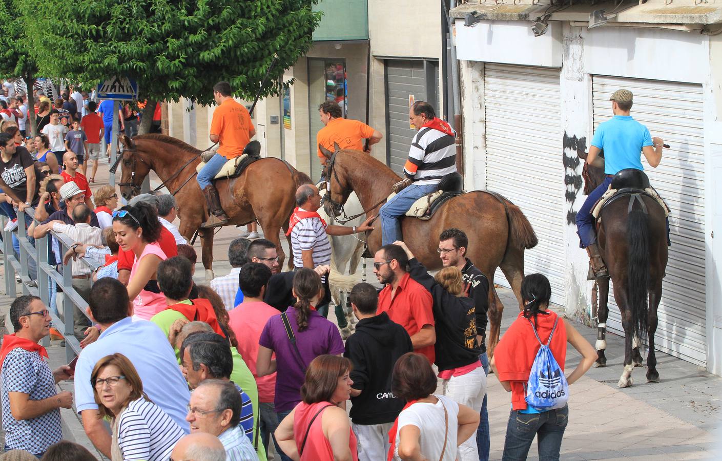 Segundo encierro de las fiestas de Cuéllar (Segovia)