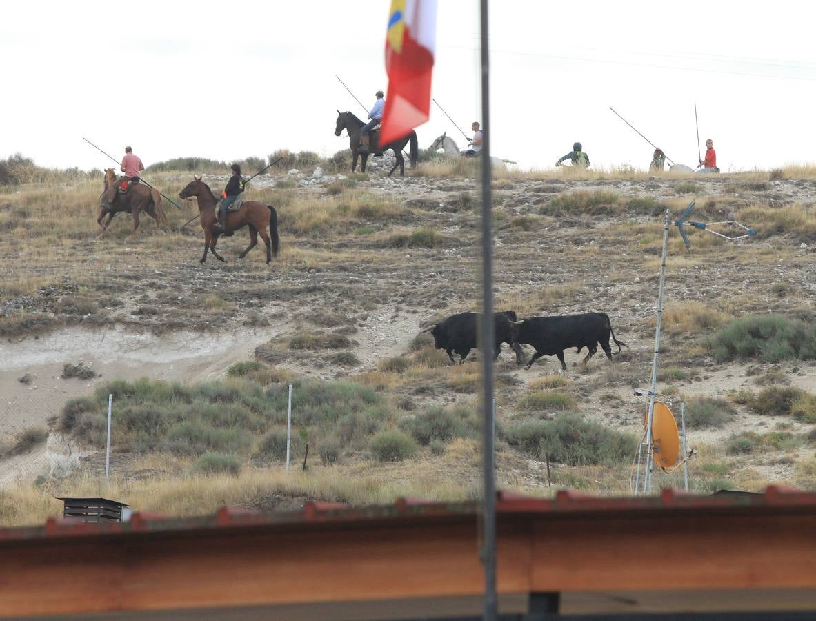 Segundo encierro de las fiestas de Cuéllar (Segovia)