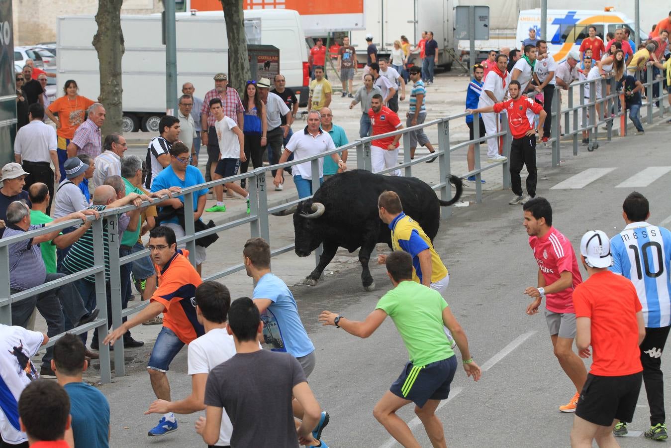Segundo encierro de las fiestas de Cuéllar (Segovia)