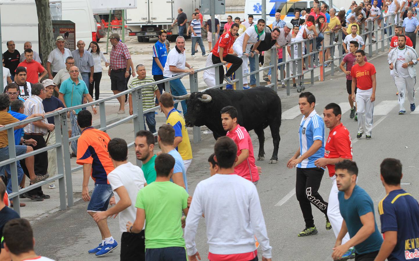 Segundo encierro de las fiestas de Cuéllar (Segovia)