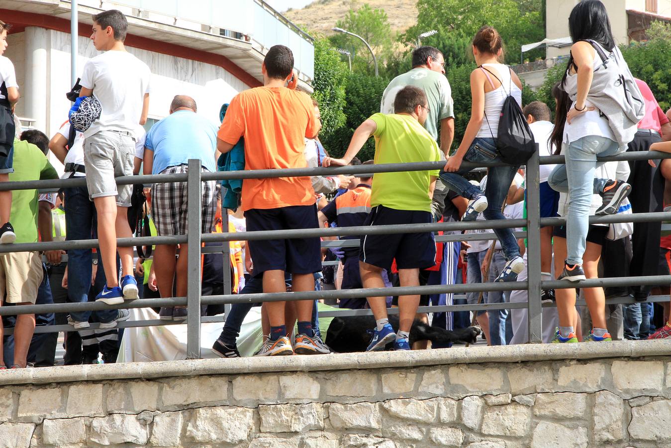Segundo encierro de las fiestas de Cuéllar (Segovia)