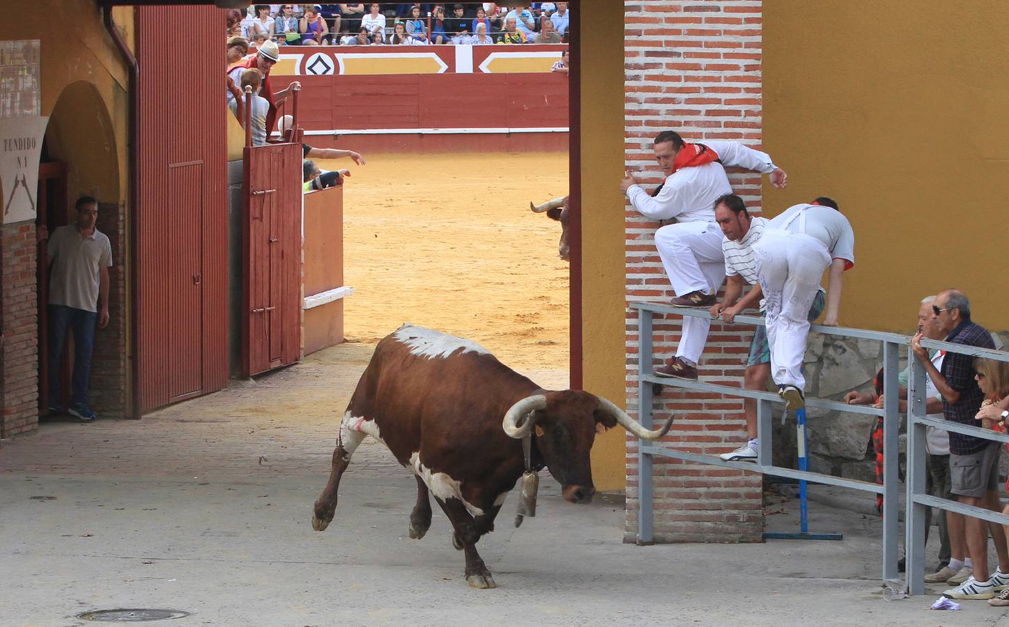Segundo encierro de las fiestas de Cuéllar (Segovia)