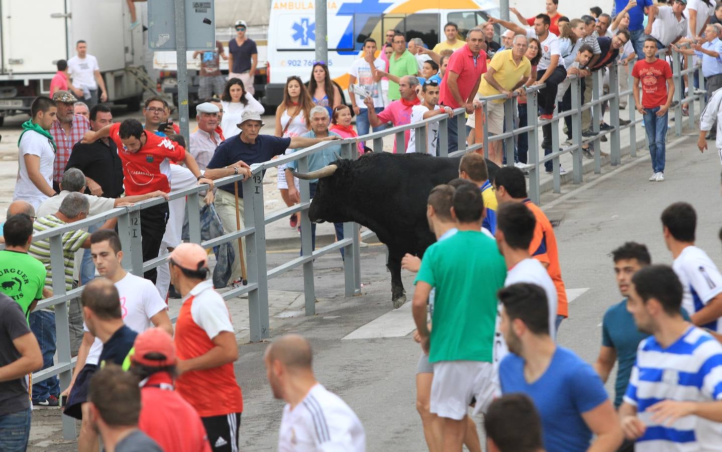 Segundo encierro de las fiestas de Cuéllar (Segovia)