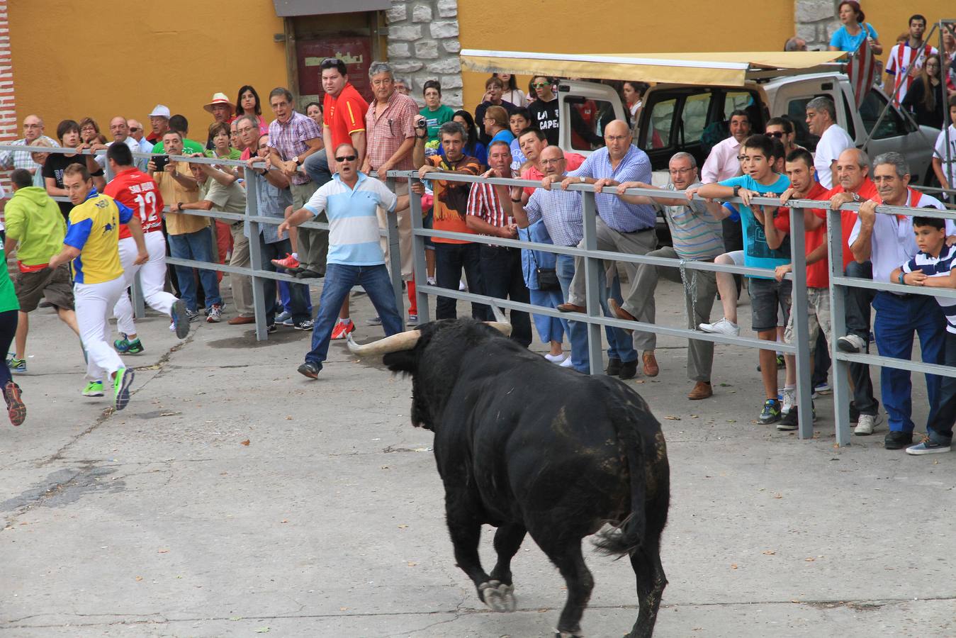 Segundo encierro de las fiestas de Cuéllar (Segovia)