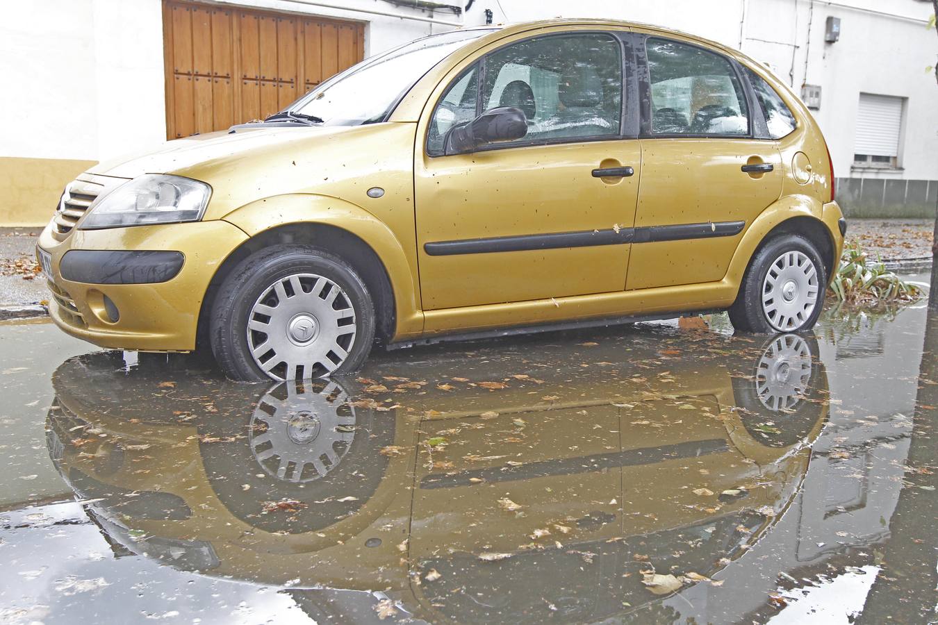 Intensa tormenta caída en Valladolid