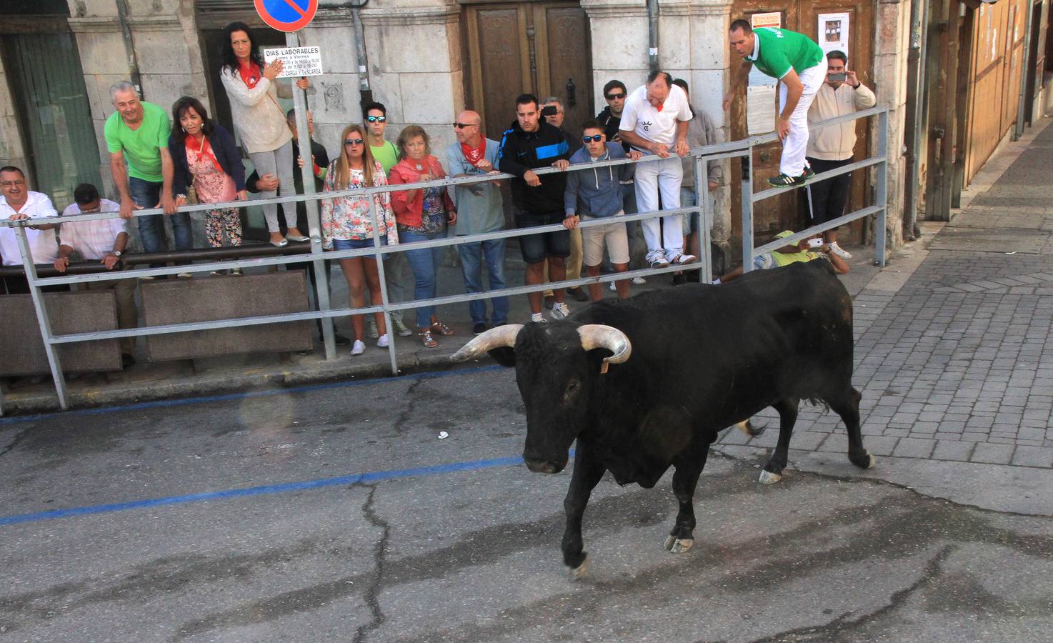 Tercer encierro de las fiestas de Cuéllar (Segovia)