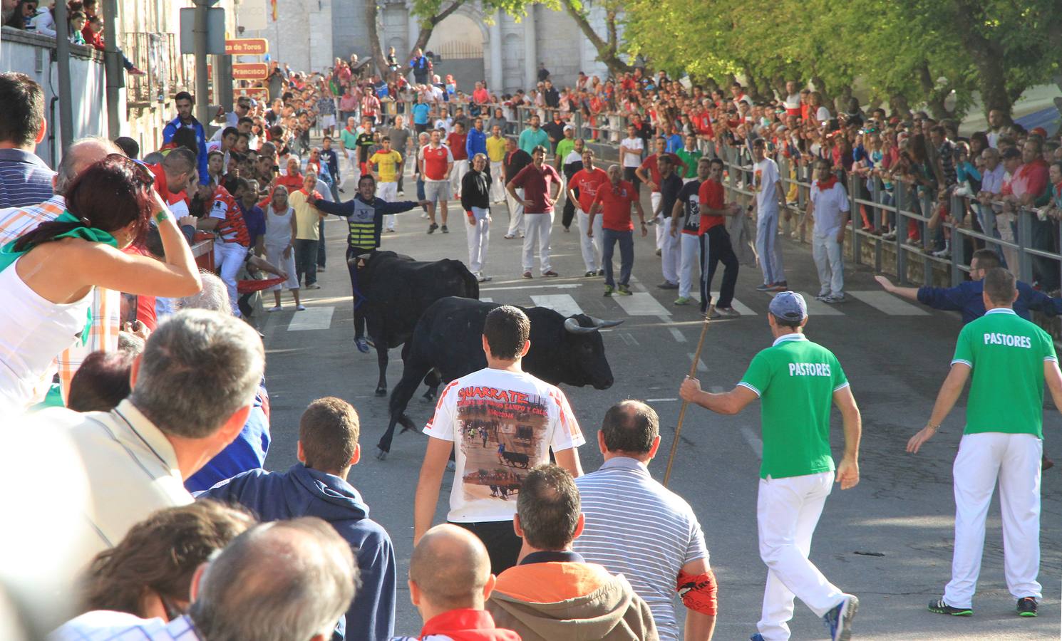 Tercer encierro de las fiestas de Cuéllar (Segovia)