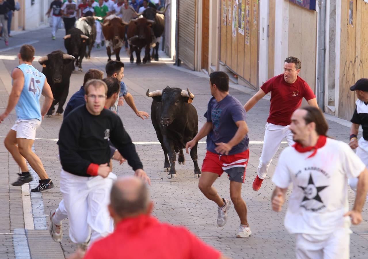 Tercer encierro de las fiestas de Cuéllar (Segovia)