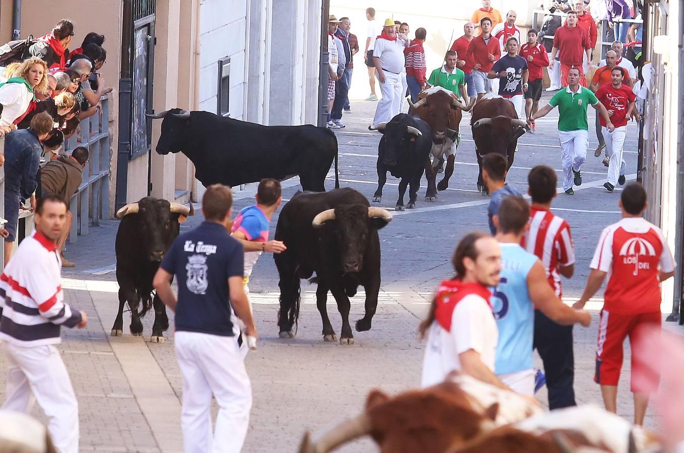 Tercer encierro de las fiestas de Cuéllar (Segovia)
