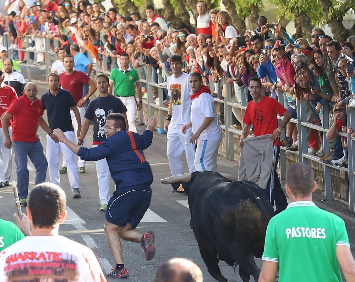 Tercer encierro de las fiestas de Cuéllar (Segovia)