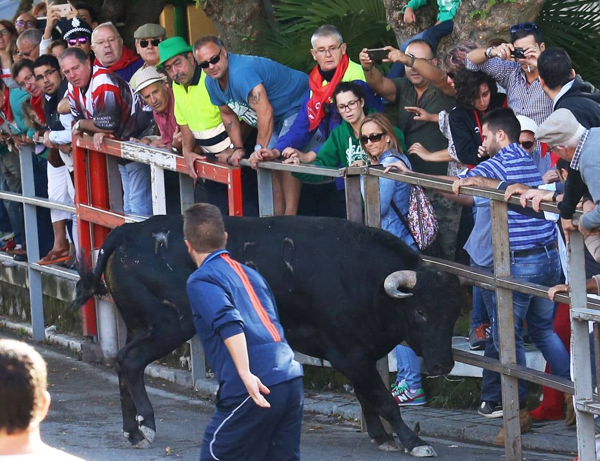 Tercer encierro de las fiestas de Cuéllar (Segovia)