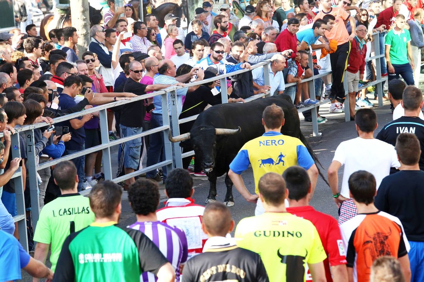 Cuarto encierro de las fiestas de Cuéllar (Segovia)
