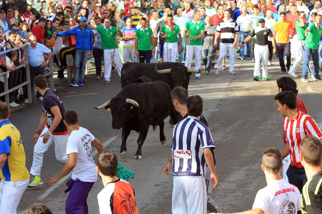 Cuarto encierro de las fiestas de Cuéllar (Segovia)