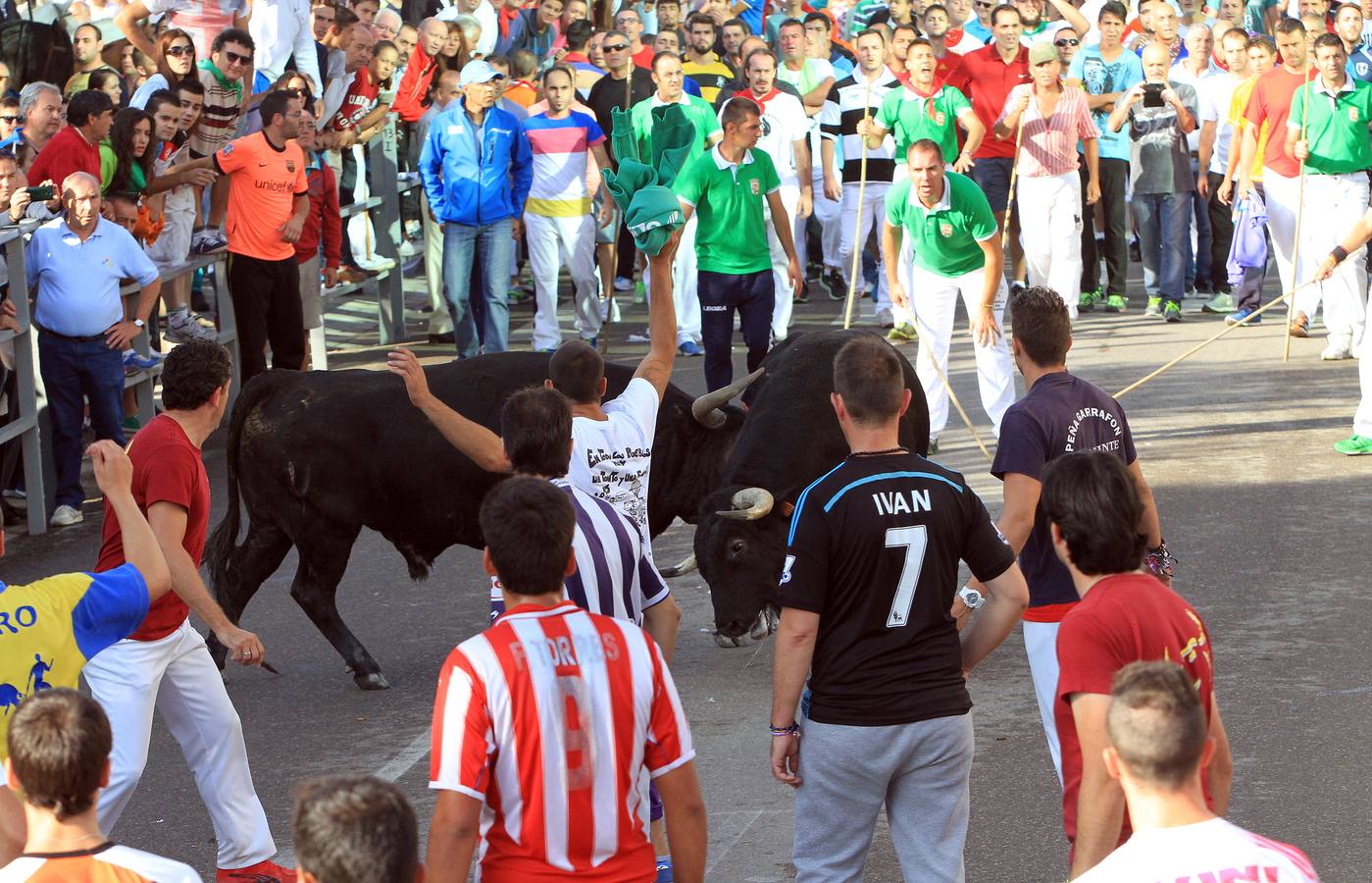 Cuarto encierro de las fiestas de Cuéllar (Segovia)