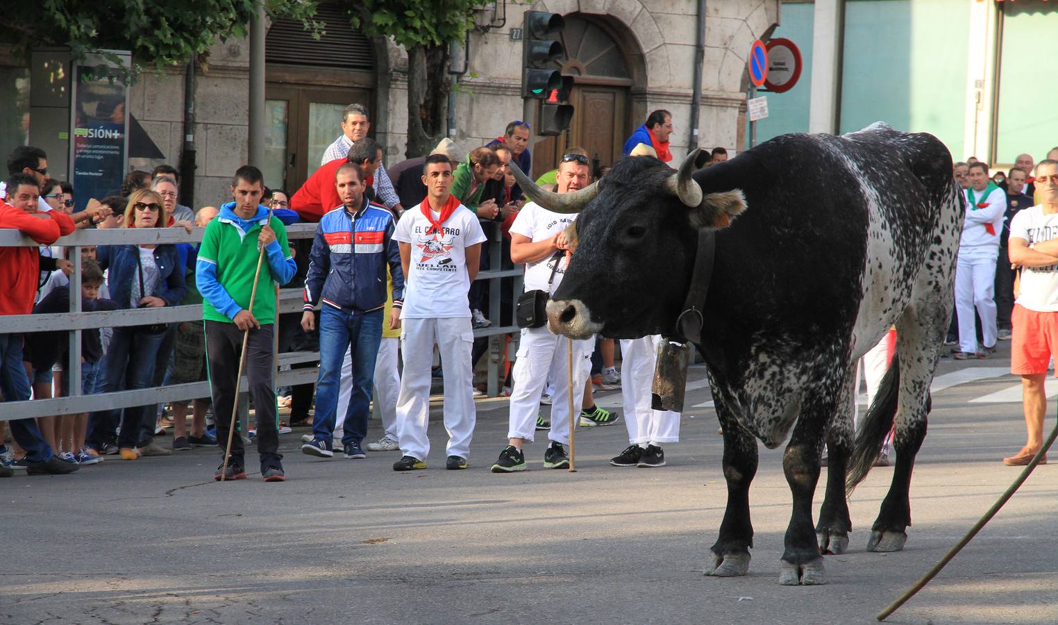 Quinto y último encierro de las fiestas de Cuéllar (Segovia)