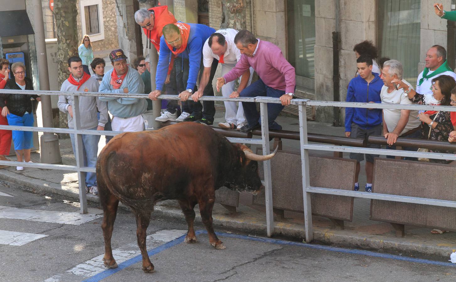 Quinto y último encierro de las fiestas de Cuéllar (Segovia)