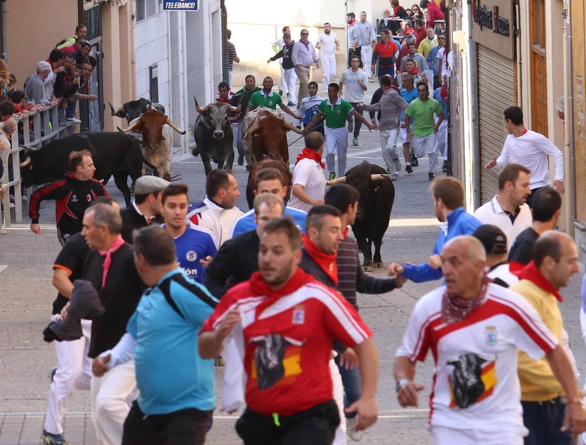 Quinto y último encierro de las fiestas de Cuéllar (Segovia)