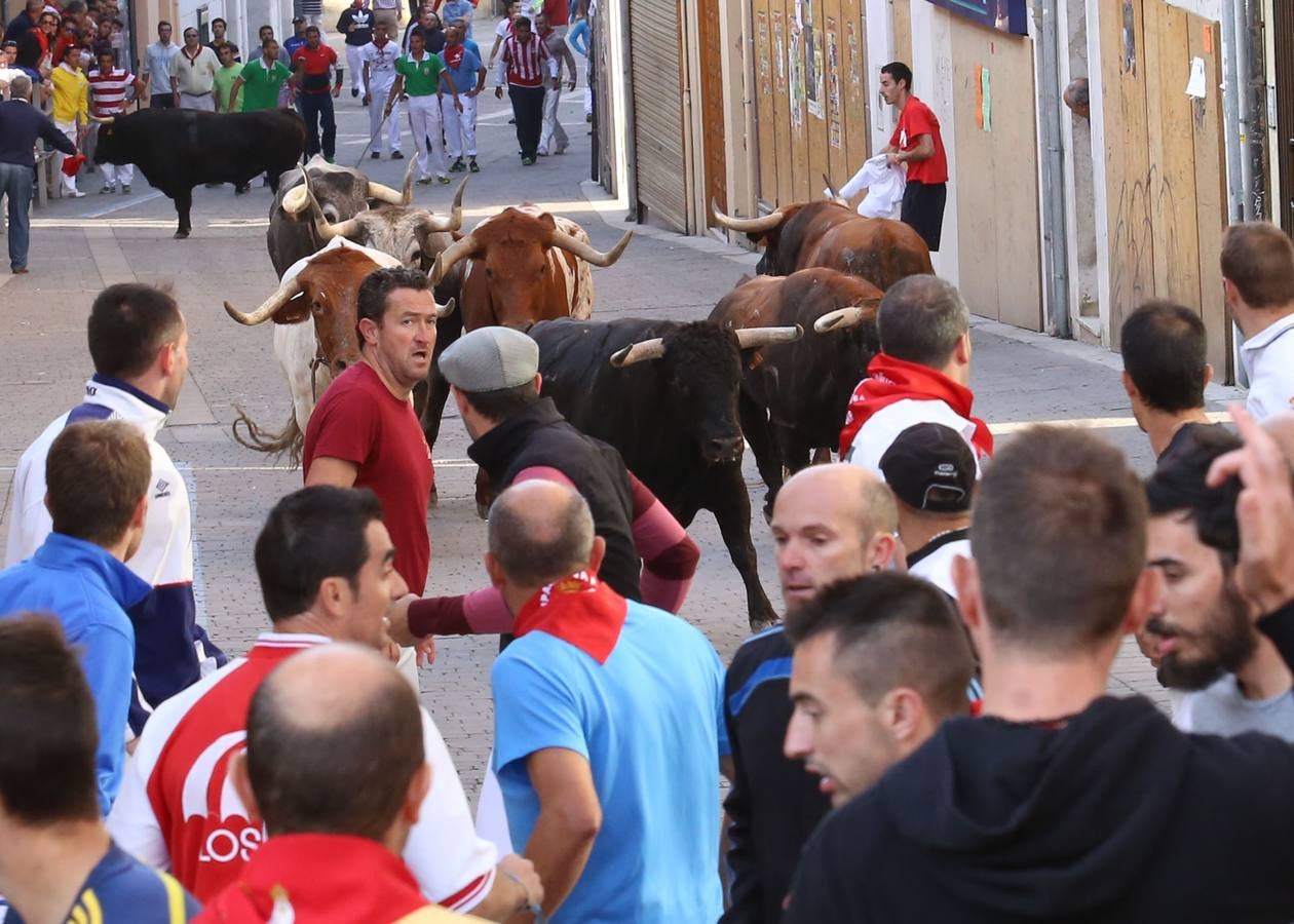 Quinto y último encierro de las fiestas de Cuéllar (Segovia)
