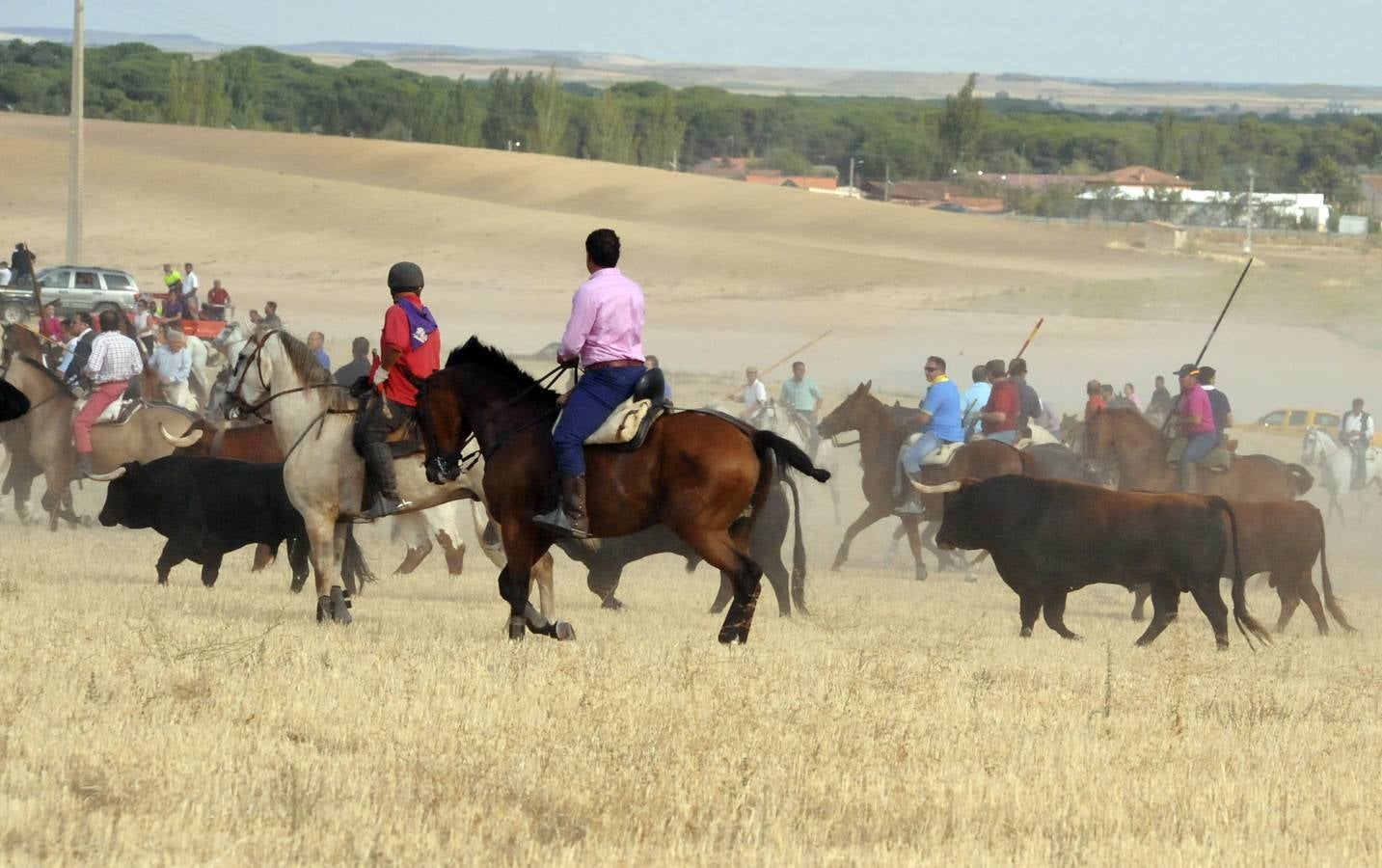 Segundo encierro de las fiestas de Medina del Campo 2015