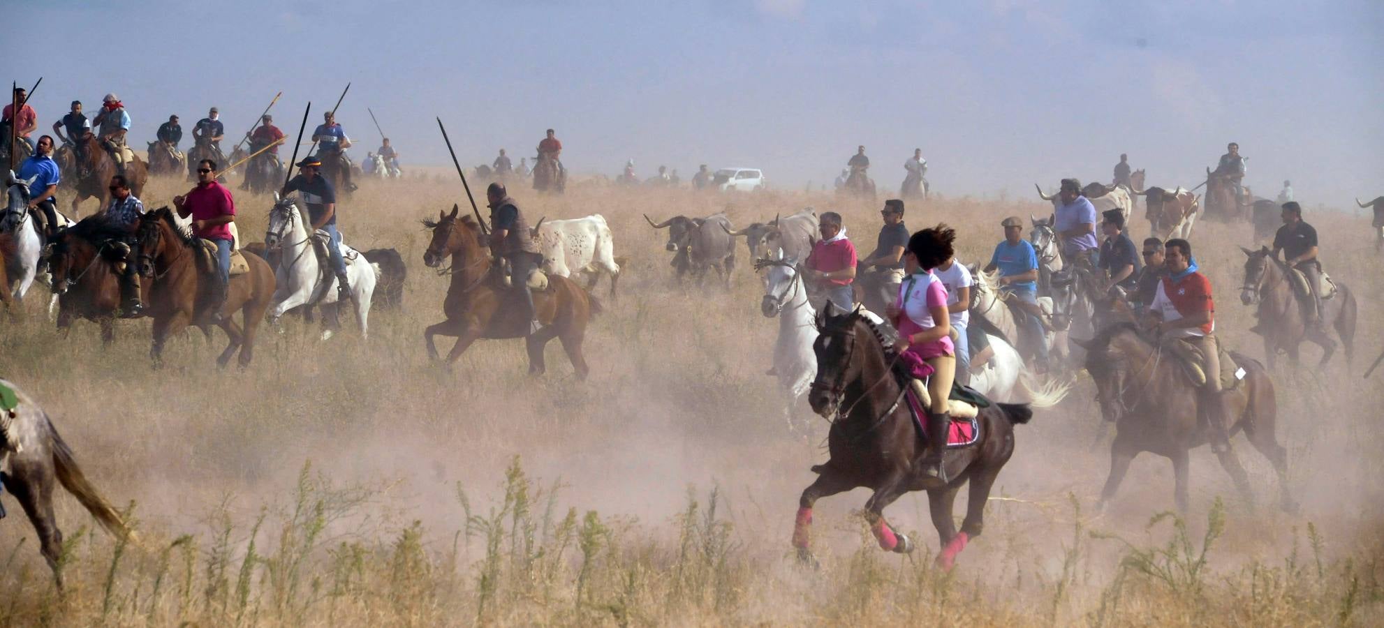 Segundo encierro de las fiestas de Medina del Campo 2015