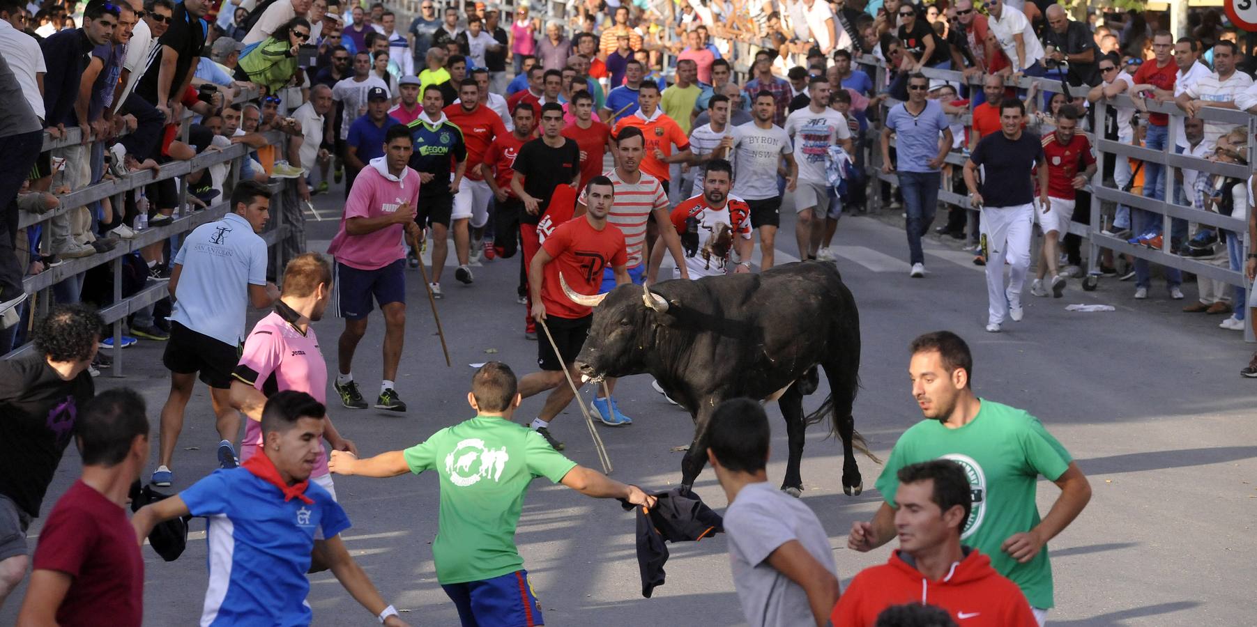 Segundo encierro de las fiestas de Medina del Campo 2015