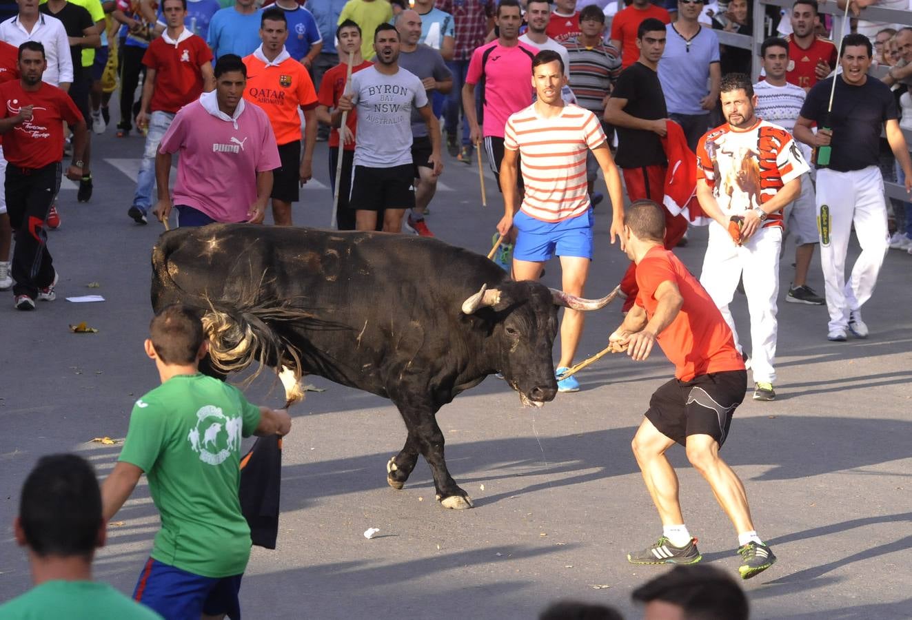 Segundo encierro de las fiestas de Medina del Campo 2015