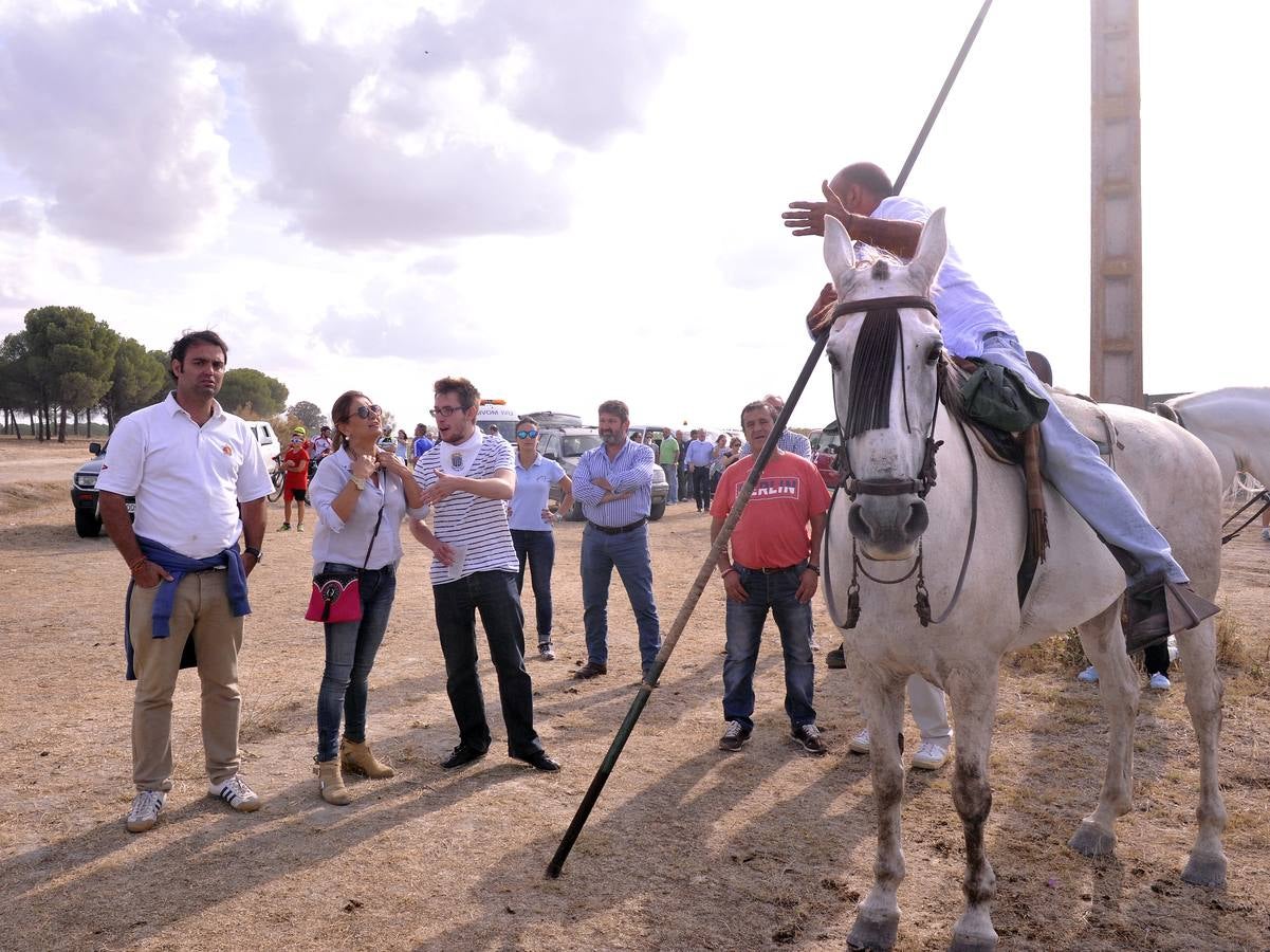 Segundo encierro de las fiestas de Medina del Campo 2015