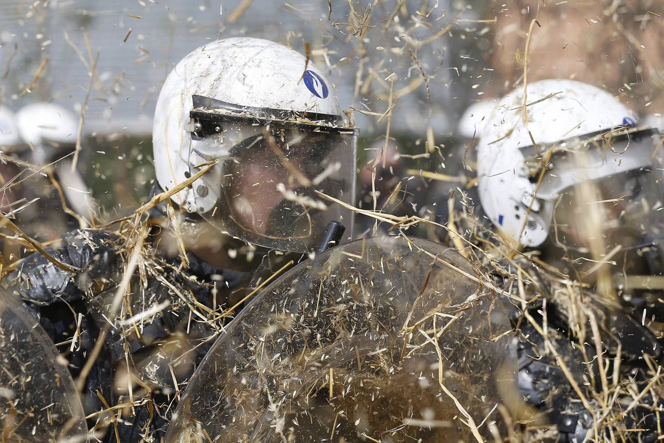 Miles de agricultores protestan en Bruselas contra la crisis del sector lácteo