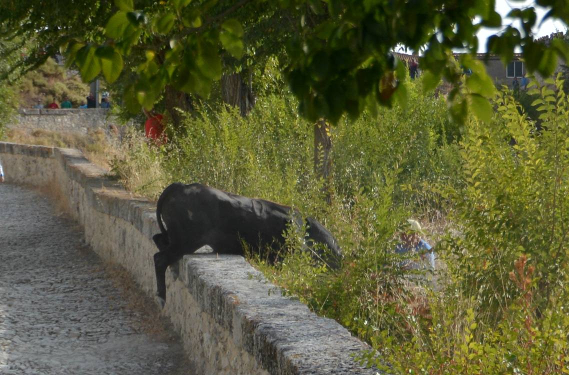 Así fue la cogida del herido en el primer encierro de las fiestas de Portillo (Valladolid)