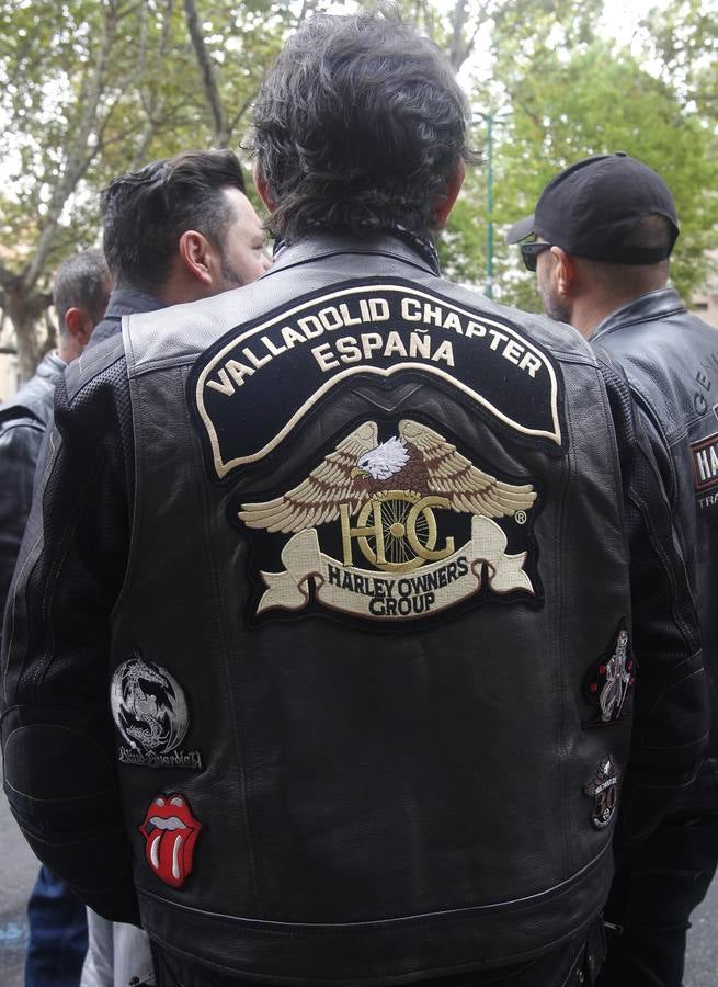 Reunión de Harley Davidson, Cafe Racer, Chopper...