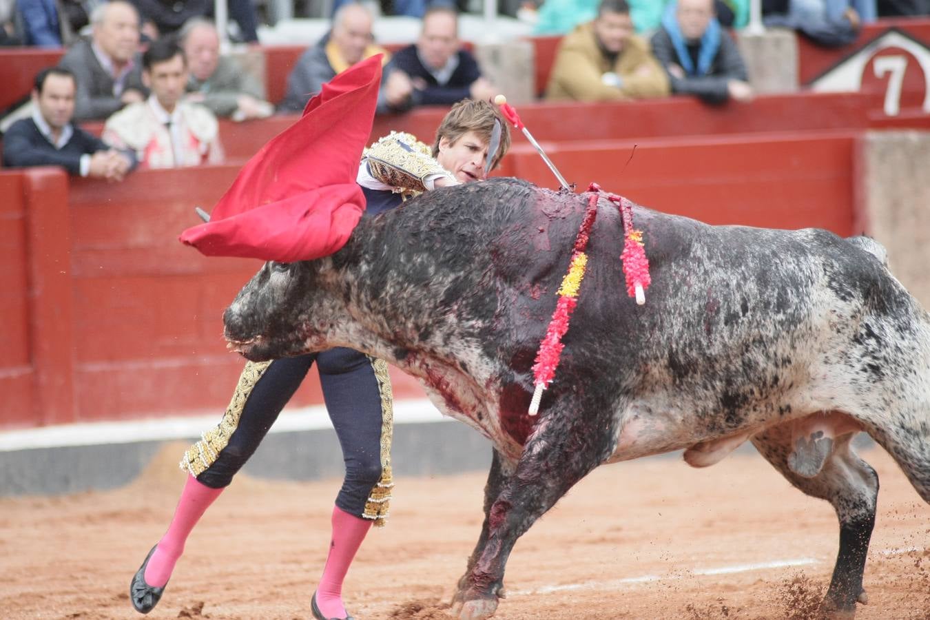 Corrida de toros en Salamanca con El Juli, Castella y Perera (1/3)