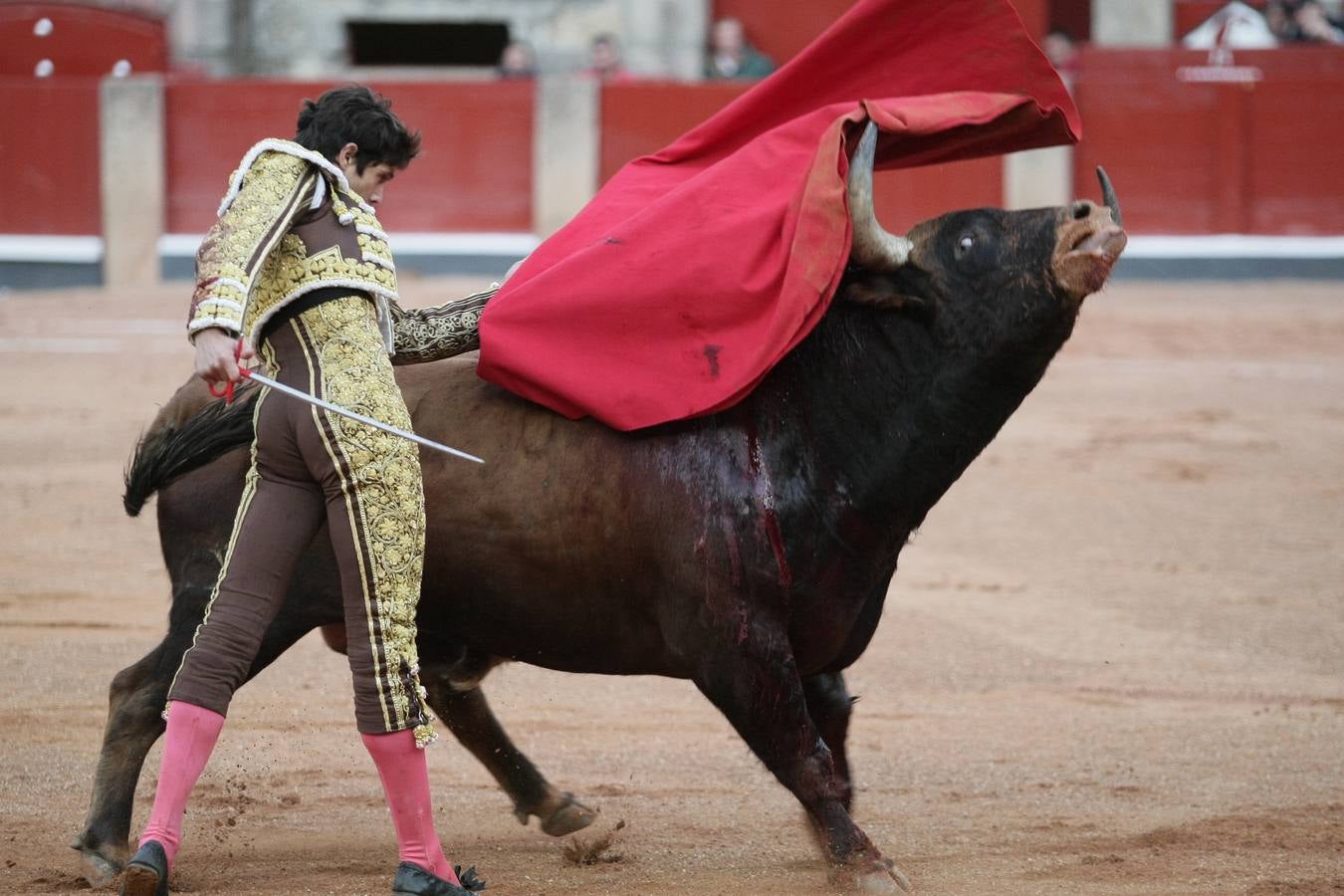 Corrida de toros en Salamanca con El Juli, Castella y Perera (2/3)