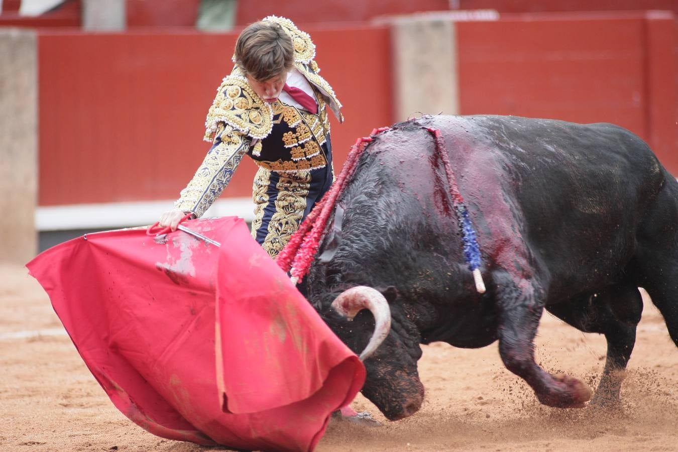 Corrida de toros en Salamanca con El Juli, Castella y Perera (3/3)