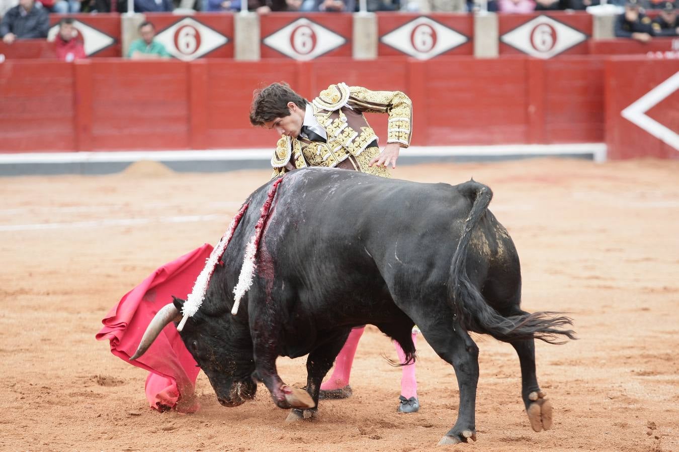 Corrida de toros en Salamanca con El Juli, Castella y Perera (3/3)