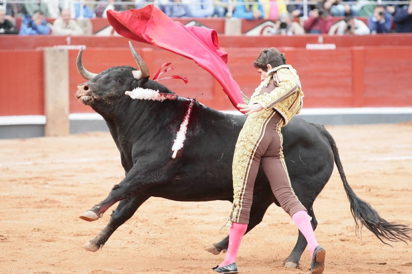 Corrida de toros en Salamanca con El Juli, Castella y Perera (3/3)