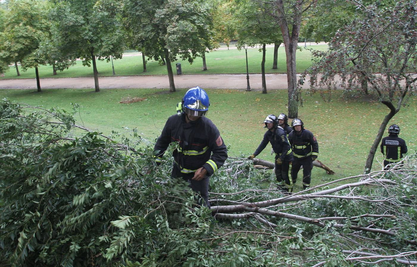 Bomberos retiran ramas arrancadas por el viento en el parque Huertas del Obispo en la capital palentina.