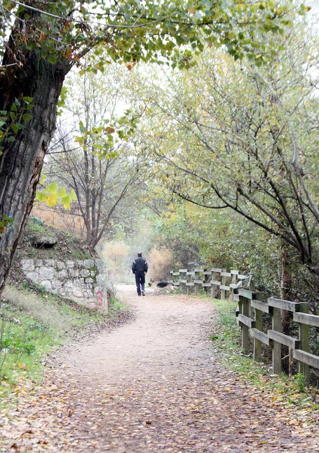 Un hombre pasea por la ribera del Pisuerga, en Valladolid.