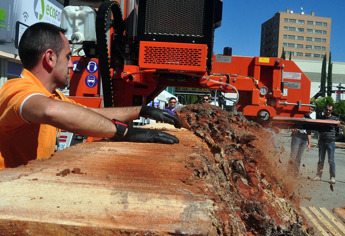 Inauguración de la X Feria Internacional Expobiomasa en Valladolid