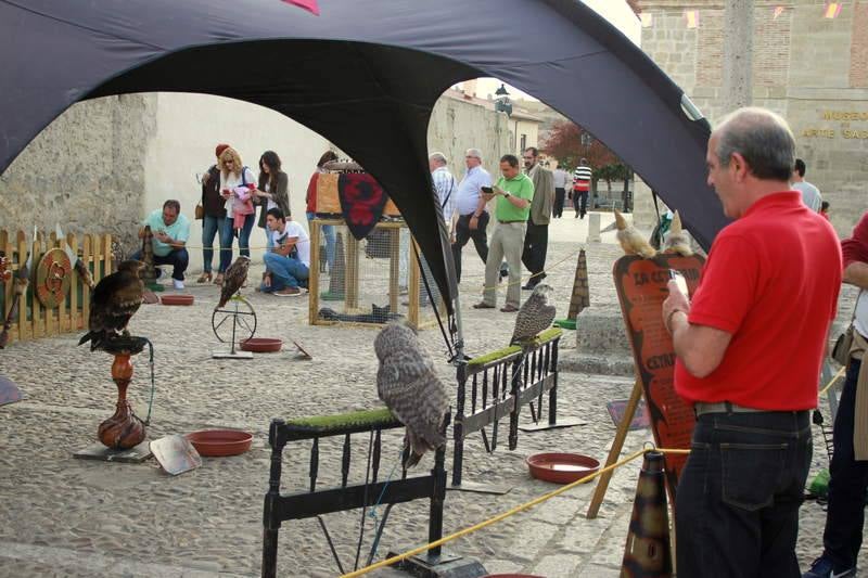 X Feria Barroca de Ampudia
