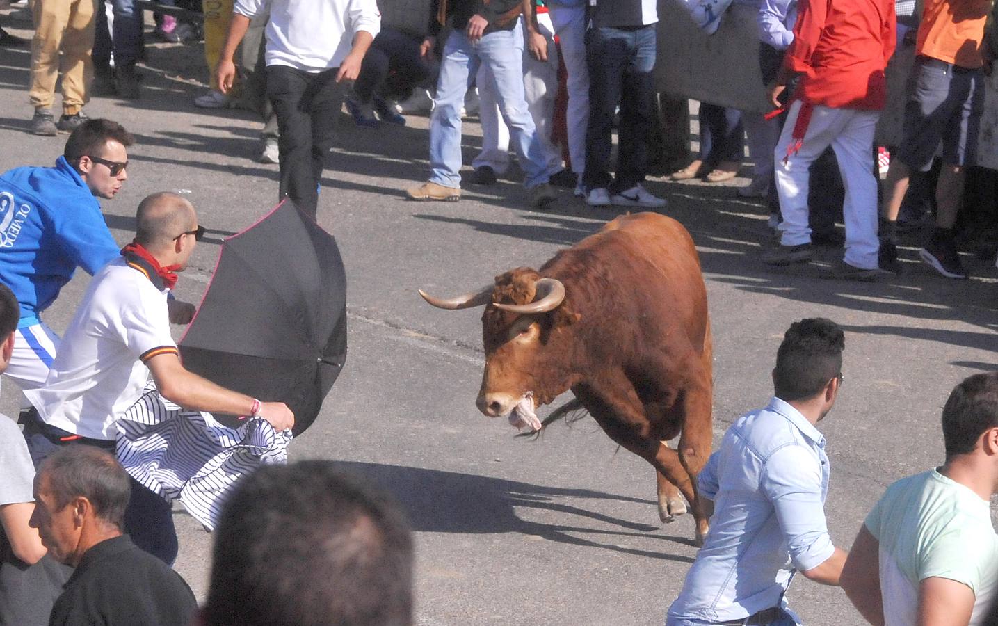 Tercer encierro de las Fiestas de Olmedo 2015