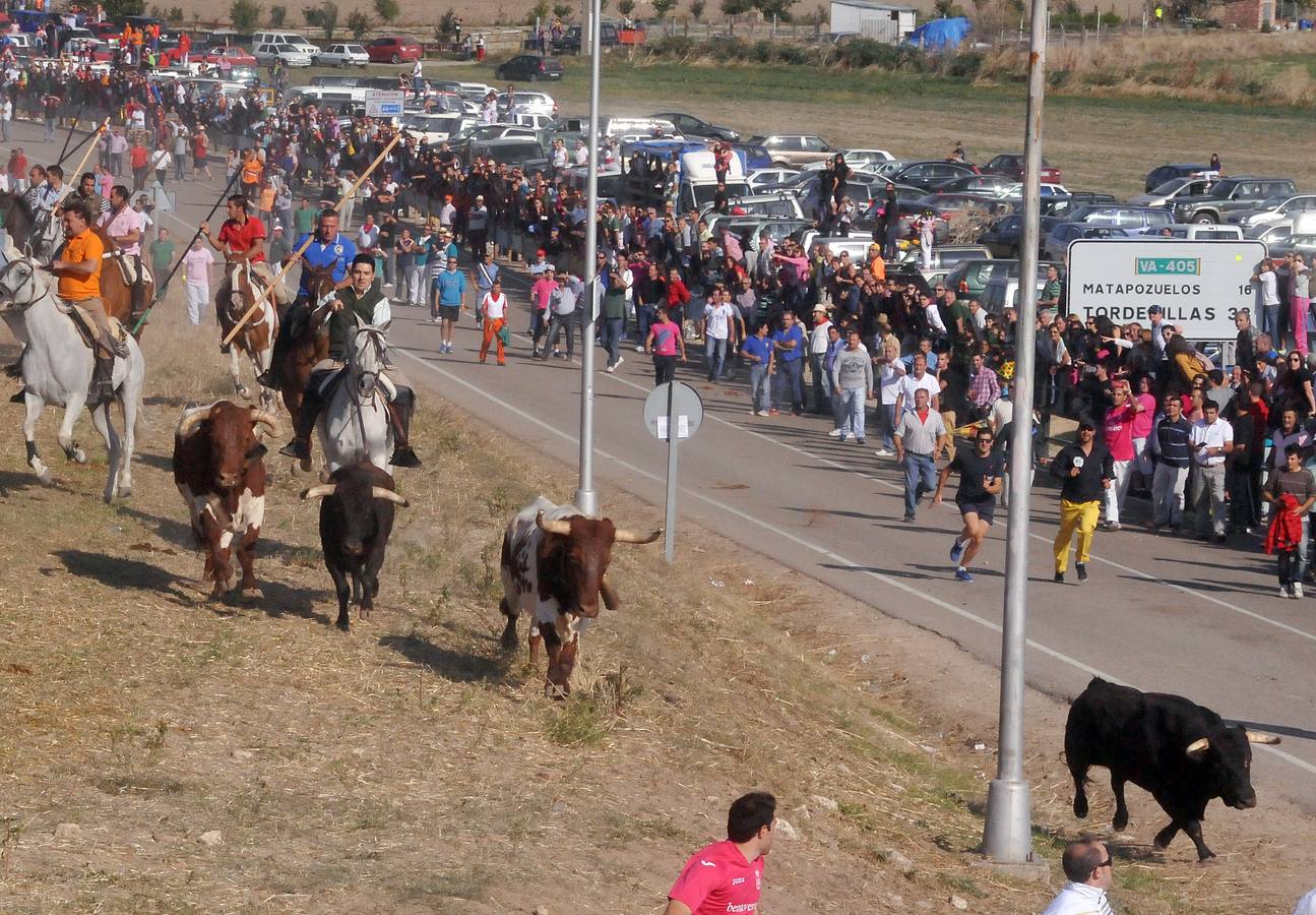 Tercer encierro de las Fiestas de Olmedo 2015